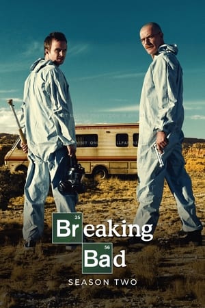 Breaking Bad [S2]