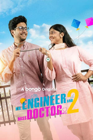 Mr. Engineer and Miss Doctor 2